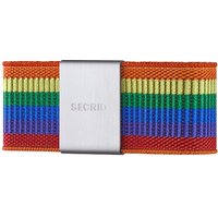 Secrid Moneyband Ergänzung zum Cardprotector Rainbow