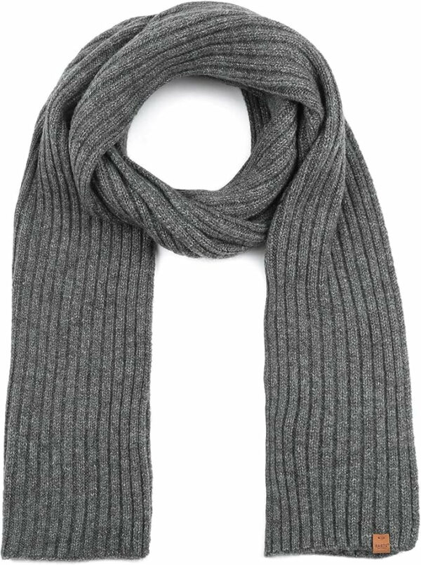 Barts Wyon Scarf Grau